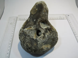 Klapperstein sehr laut Flint mit Schwamm sichtbar XL 15cm Kreide Normandie, Frankreich