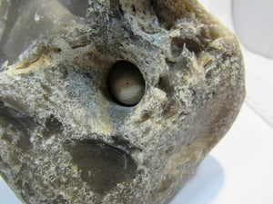 Klapperstein sehr laut Flint mit Schwamm sichtbar XL 15cm Kreide Normandie, Frankreich