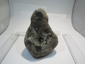 Klapperstein sehr laut Flint mit Schwamm sichtbar XL 15cm Kreide Normandie, Frankreich