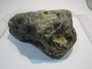 Klapperstein sehr laut Flint mit Schwamm sichtbar XL 15cm Kreide Normandie, Frankreich