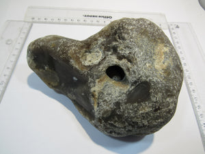 Klapperstein sehr laut Flint mit Schwamm sichtbar XL 15cm Kreide Normandie, Frankreich