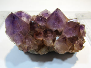 Amethyst feines Drusenstück tief violett 10cm Artigas Mine, Uruguay