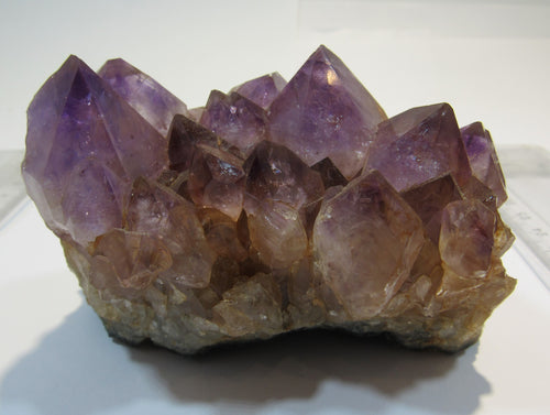 Amethyst feines Drusenstück tief violett 10cm Artigas Mine, Uruguay