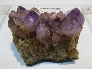 Amethyst feines Drusenstück tief violett 10cm Artigas Mine, Uruguay