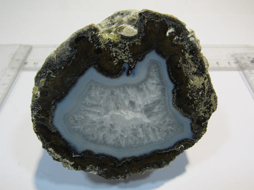 Achat halbe Geode gefüllt fein poliert 8cm 400g Chihuahua, Mexiko