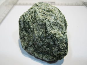 Aktinolith Zillerthit in Gneis Talkschiefer 7cm Schlegeis Zamsergrund Zillertal, Österreich