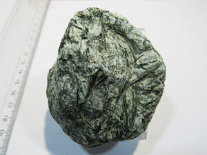 Aktinolith Zillerthit in Gneis Talkschiefer 7cm Schlegeis Zamsergrund Zillertal, Österreich