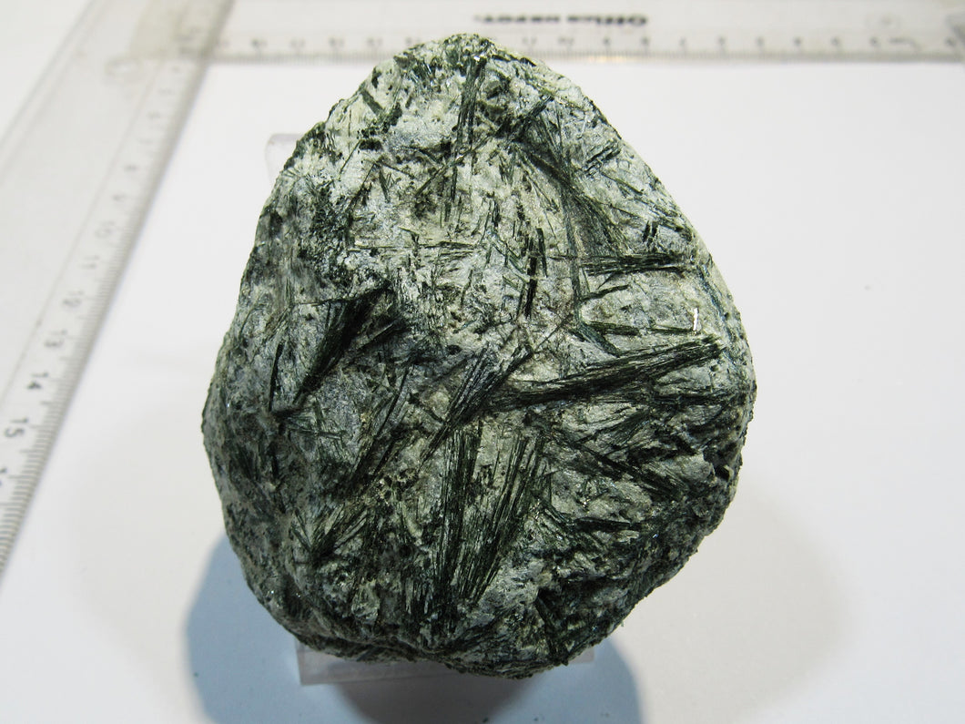 Aktinolith Zillerthit in Gneis Talkschiefer 7cm Schlegeis Zamsergrund Zillertal, Österreich