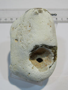 Klapperstein Hühnergott Flint Feuerstein Schwamm Kreide 138g Normandie, Frankreich