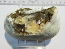 Laden Sie das Bild in den Galerie-Viewer, Klapperstein Hühnergott Flint Feuerstein Schwamm Kreide 138g Normandie, Frankreich