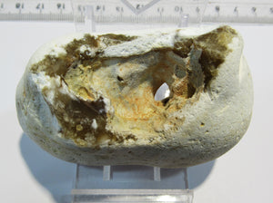 Klapperstein Hühnergott Flint Feuerstein Schwamm Kreide 138g Normandie, Frankreich