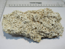 Laden Sie das Bild in den Galerie-Viewer, Aragonit verästelte Eisenblüte Stufe 17cm Erzberg Steiermark, Österreich