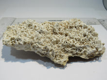 Laden Sie das Bild in den Galerie-Viewer, Aragonit verästelte Eisenblüte Stufe 17cm Erzberg Steiermark, Österreich