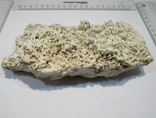 Laden Sie das Bild in den Galerie-Viewer, Aragonit verästelte Eisenblüte Stufe 17cm Erzberg Steiermark, Österreich