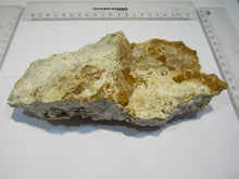 Laden Sie das Bild in den Galerie-Viewer, Aragonit verästelte Eisenblüte Stufe 17cm Erzberg Steiermark, Österreich