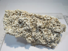 Laden Sie das Bild in den Galerie-Viewer, Aragonit verästelte Eisenblüte Stufe 17cm Erzberg Steiermark, Österreich