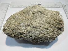 Laden Sie das Bild in den Galerie-Viewer, Coelestin top Kristalldruse hell blau 15cm 1,56Kg Met Kwarts Douz, Tunesien