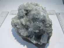 Laden Sie das Bild in den Galerie-Viewer, Coelestin top Kristalldruse hell blau 15cm 1,56Kg Met Kwarts Douz, Tunesien