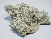 Laden Sie das Bild in den Galerie-Viewer, Aragonit verästelte Eisenblüte Spagetti 12cm Erzberg Steiermark, Österreich