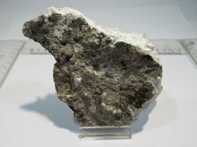 Laden Sie das Bild in den Galerie-Viewer, Aragonit verästelte Eisenblüte Spagetti 12cm Erzberg Steiermark, Österreich