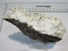 Laden Sie das Bild in den Galerie-Viewer, Aragonit verästelte Eisenblüte Spagetti 12cm Erzberg Steiermark, Österreich