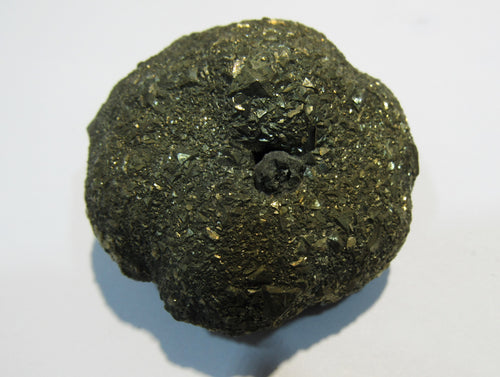 Pyrit Kristall Knolle Konkretion um Seelilien Stängel Mögglingen 5cm, Deutschland