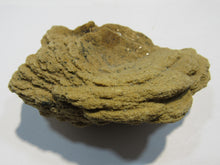 Laden Sie das Bild in den Galerie-Viewer, Baryt feine beidseitige Sandrose Schwerspat 8cm Rockenberg Hessen, Deutschland
