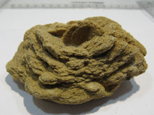 Laden Sie das Bild in den Galerie-Viewer, Baryt feine beidseitige Sandrose Schwerspat 8cm Rockenberg Hessen, Deutschland