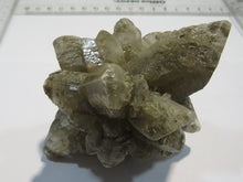 Laden Sie das Bild in den Galerie-Viewer, Gips Selenit XL Igel Kristall Knolle Schwimmer 10cm Cottbus Nord, Deutschland