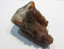 Laden Sie das Bild in den Galerie-Viewer, Calcit rote Kanonenspat Hufnagel Kristall Glanz Stufe 80g Hubei, China