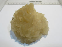 Laden Sie das Bild in den Galerie-Viewer, Calcit Papierspat Blätterspat feine Stufe 8cm Alverdissen Lippe, Deutschland