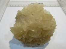 Laden Sie das Bild in den Galerie-Viewer, Calcit Papierspat Blätterspat feine Stufe 8cm Alverdissen Lippe, Deutschland