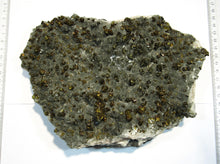 Laden Sie das Bild in den Galerie-Viewer, Calcit XL Kanonenspat Stufe +Kupferkies xx  2800g Herdringen Sauerland, Deutschland