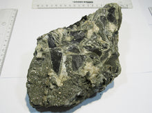 Laden Sie das Bild in den Galerie-Viewer, Pyrit und Calcit Kalkstein XL Konglomerat- Stufe 2Kg Herdringen Sauerland, Deutschland