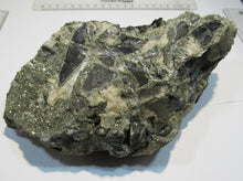 Laden Sie das Bild in den Galerie-Viewer, Pyrit und Calcit Kalkstein XL Konglomerat- Stufe 2Kg Herdringen Sauerland, Deutschland