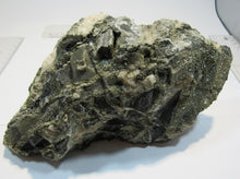 Laden Sie das Bild in den Galerie-Viewer, Pyrit und Calcit Kalkstein XL Konglomerat- Stufe 2Kg Herdringen Sauerland, Deutschland