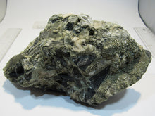Laden Sie das Bild in den Galerie-Viewer, Pyrit und Calcit Kalkstein XL Konglomerat- Stufe 2Kg Herdringen Sauerland, Deutschland