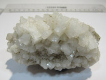 Laden Sie das Bild in den Galerie-Viewer, Steinsalz Halit Würfel Kristall Handstufe 10cm Arrubal La Rioja, Spanien