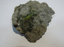 Laden Sie das Bild in den Galerie-Viewer, Buntpyrit Handstufe 7cm 96g  Stbr. Habbel Herdringen Sauerland, Deutschland