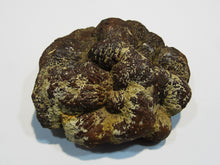 Laden Sie das Bild in den Galerie-Viewer, Markasit Limonit Kristall halbe Knolle 770g top Epernay Marne Reims, Frankreich