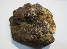 Laden Sie das Bild in den Galerie-Viewer, Markasit Limonit Kristall halbe Knolle 770g top Epernay Marne Reims, Frankreich