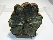 Laden Sie das Bild in den Galerie-Viewer, Markasit Limonit Kristall halbe Knolle 770g top Epernay Marne Reims, Frankreich