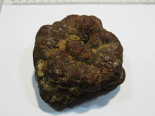 Laden Sie das Bild in den Galerie-Viewer, Markasit Limonit Kristall halbe Knolle 1100g top Epernay Marne Reims, Frankreich