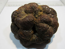 Laden Sie das Bild in den Galerie-Viewer, Markasit Limonit Kristall halbe Knolle 1100g top Epernay Marne Reims, Frankreich