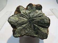 Laden Sie das Bild in den Galerie-Viewer, Markasit Limonit Kristall halbe Knolle 1100g top Epernay Marne Reims, Frankreich