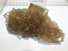Laden Sie das Bild in den Galerie-Viewer, Fluorit Würfel Kristall Stufe 11cm Wölsendorf Schwarzach Oberpfalz, Deutschland