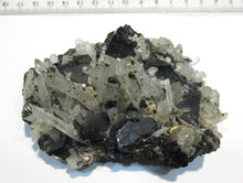 Laden Sie das Bild in den Galerie-Viewer, Bergkristall feiner Nadelquarz auf top Zinkblende xx 10cm Madan, Bulgarien