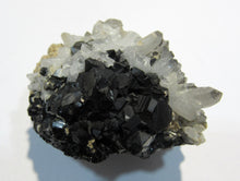 Laden Sie das Bild in den Galerie-Viewer, Bergkristall mit Zinkblende Sphalerit xx Pyrit 5cm Madan, Bulgarien