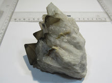 Laden Sie das Bild in den Galerie-Viewer, Rauchquarz Quarz Kristallspitzen Strauß 10cm 560g Usingen Taunus, Deutschland