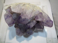 Laden Sie das Bild in den Galerie-Viewer, Amethyst XL feine Großstufe Museumsstück 21x16x15cm 6,3Kg Auahi Mine, Bolivien